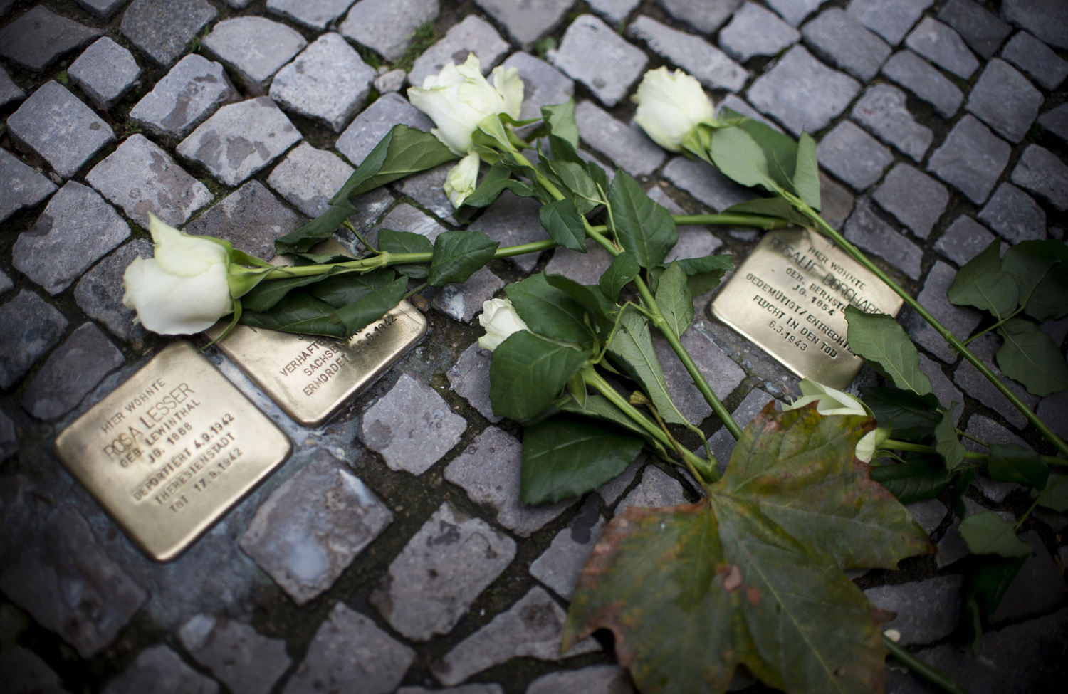 Roses lay on a Berlin "stolperstein" on the 75th anniversary of Kristallnacht. Johannes Eisele/AFP/Getty Images