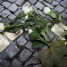 The memory of Kristallnacht should alert us to the perils of indifference